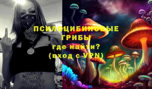 PSILOCYBIN Заводоуковск